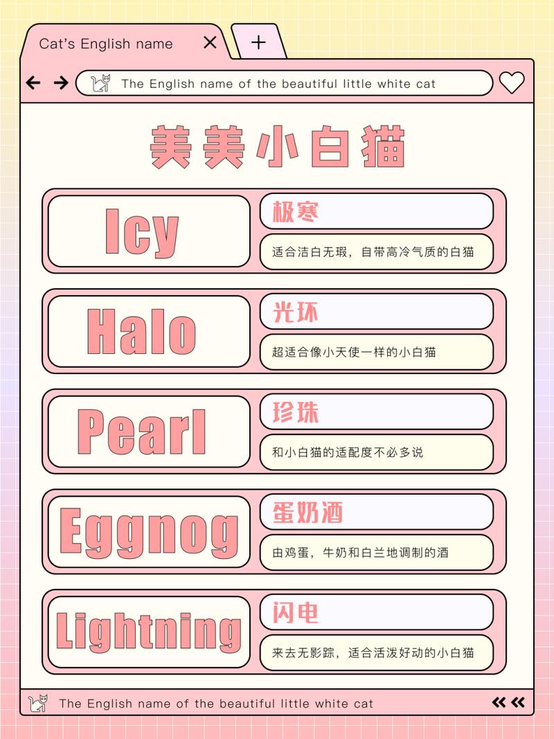 猫咪名字可爱洋气英文
