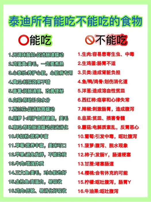 泰迪不能吃的食物有哪些