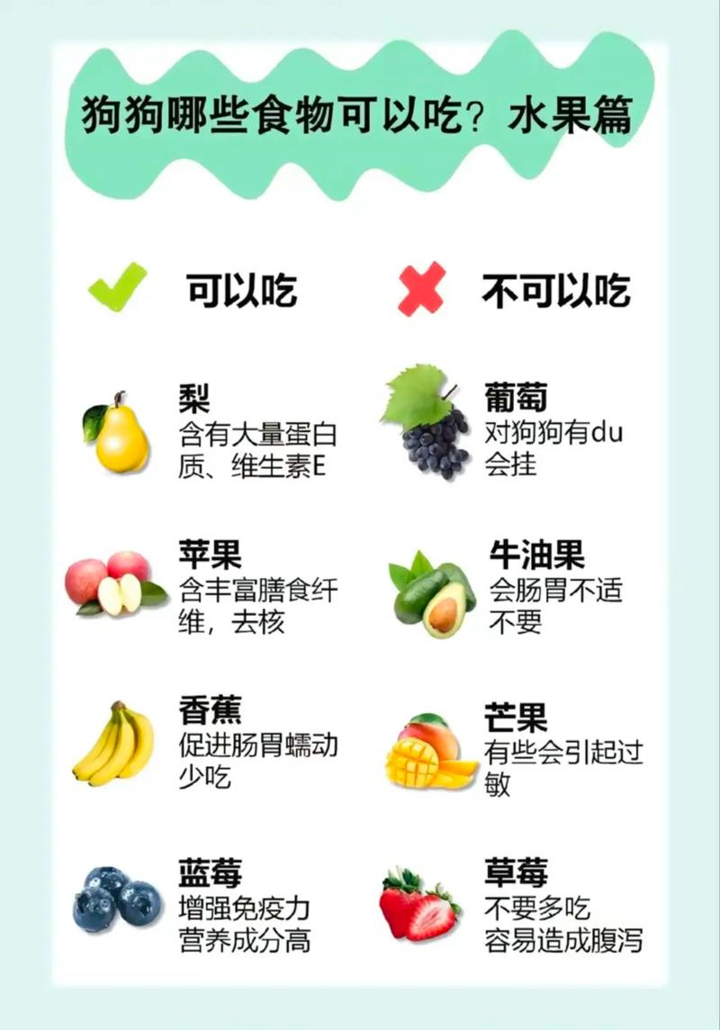 泰迪狗狗可以吃核桃吗?