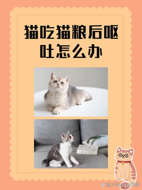 猫吃驱虫药后拉稀几天