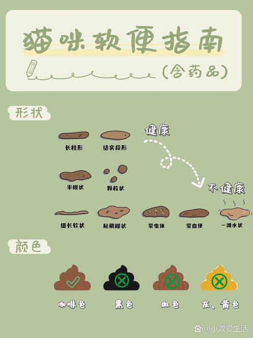 猫吃驱虫药后拉稀,不吃猫粮怎么办呀