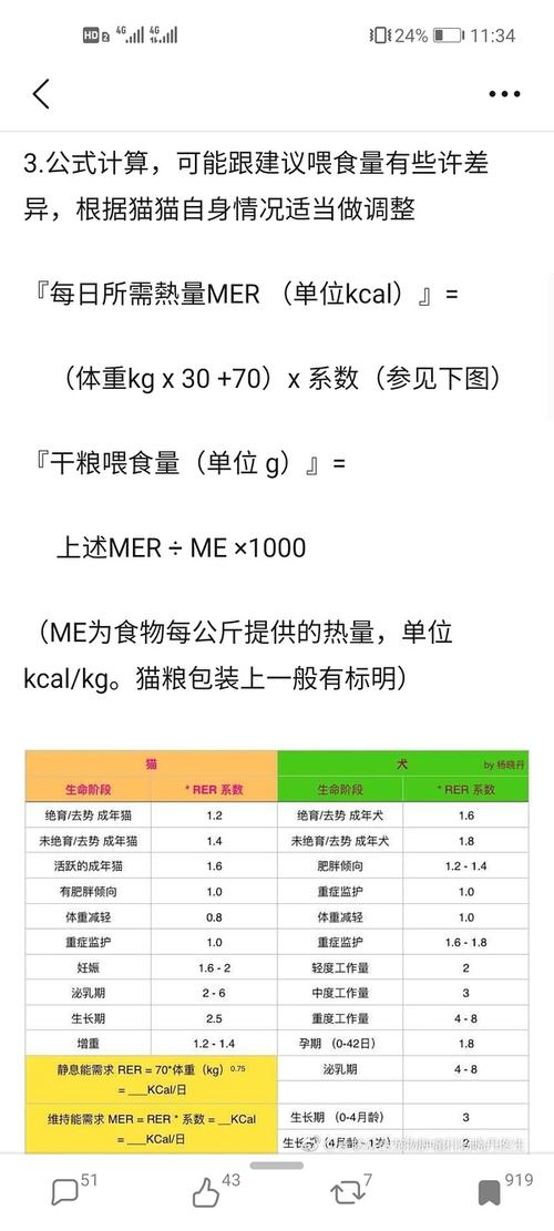 成年猫猫咪每天吃多少猫粮