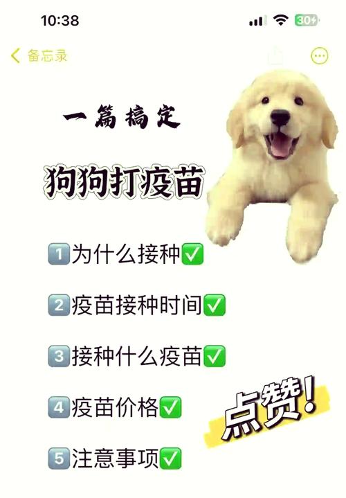 狗感冒了打什么针好得快