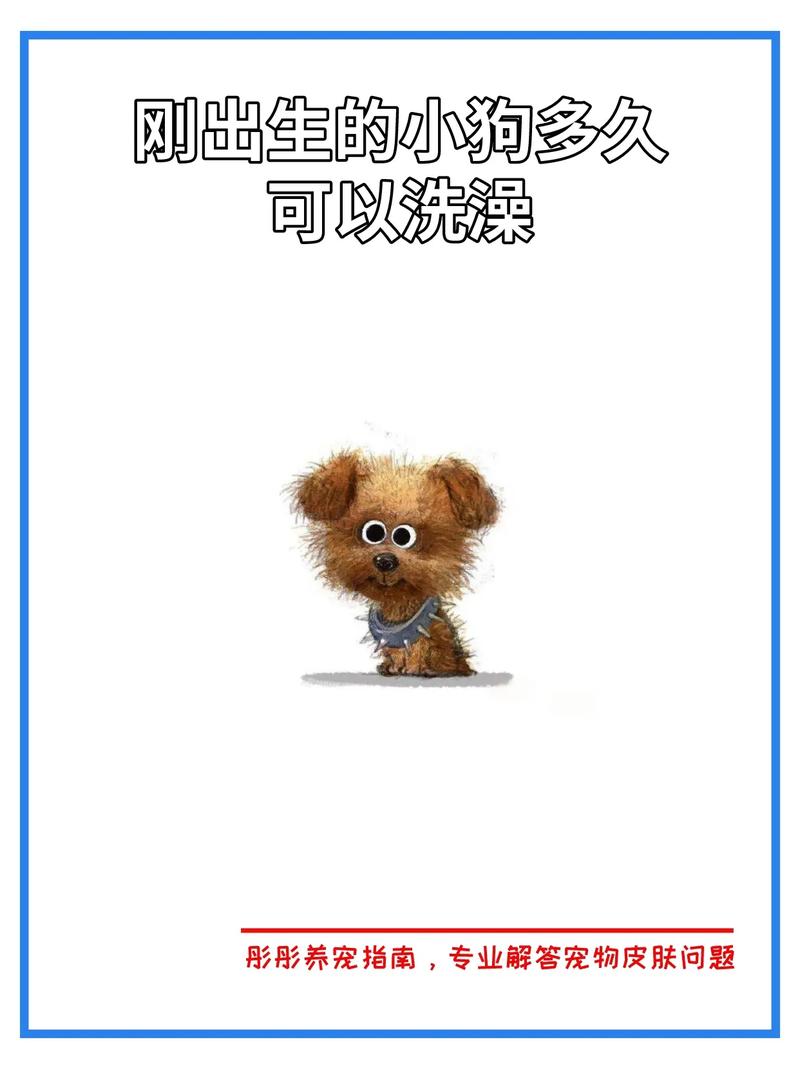 小狗狗出生多久可以洗澡