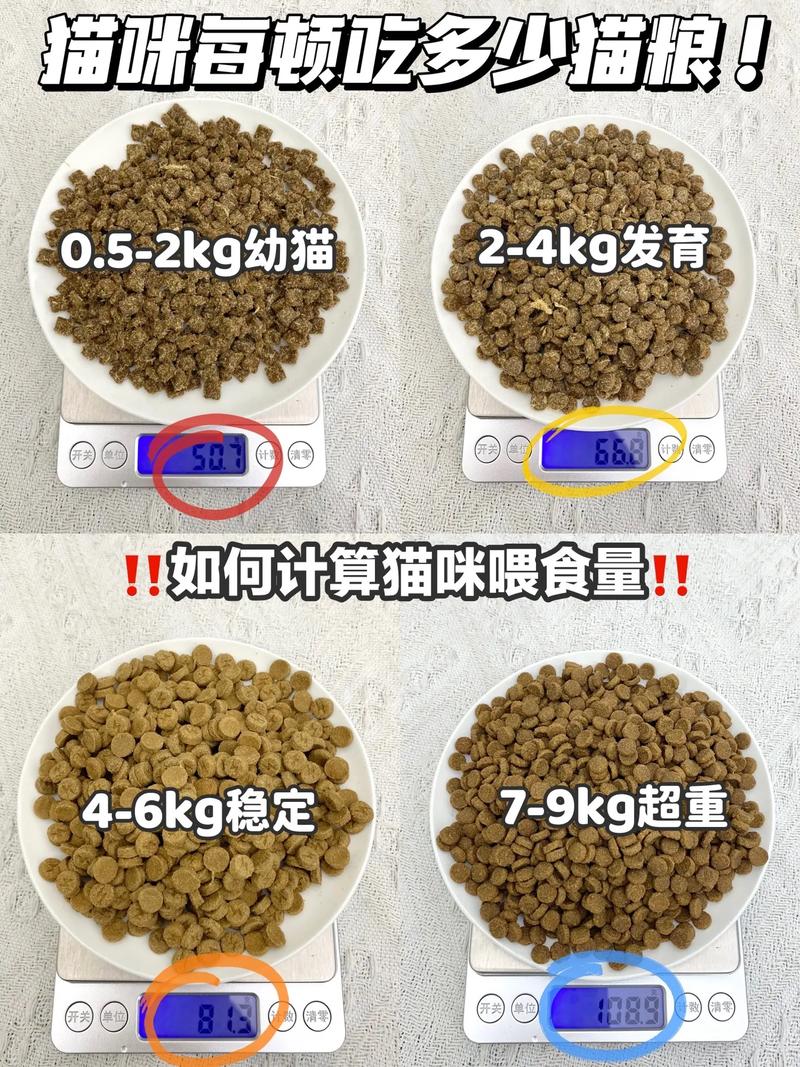 小猫每天应该吃多少猫粮?
