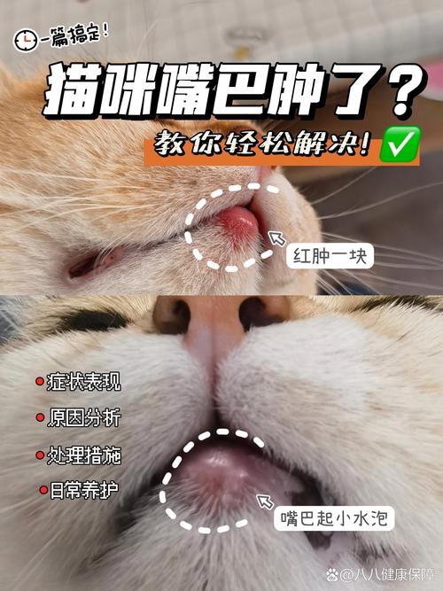 猫咪脸一边突然肿起来了