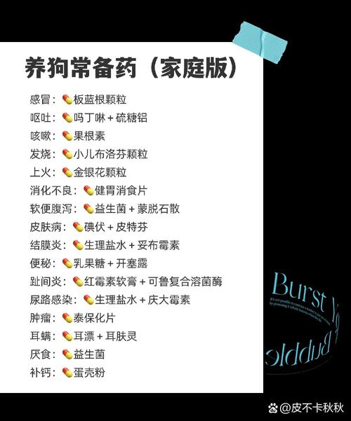 养狗需要备什么药?