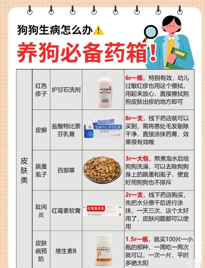家有狗狗必备常用药有哪些?
