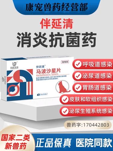 狗狗常用的消炎药有哪些?