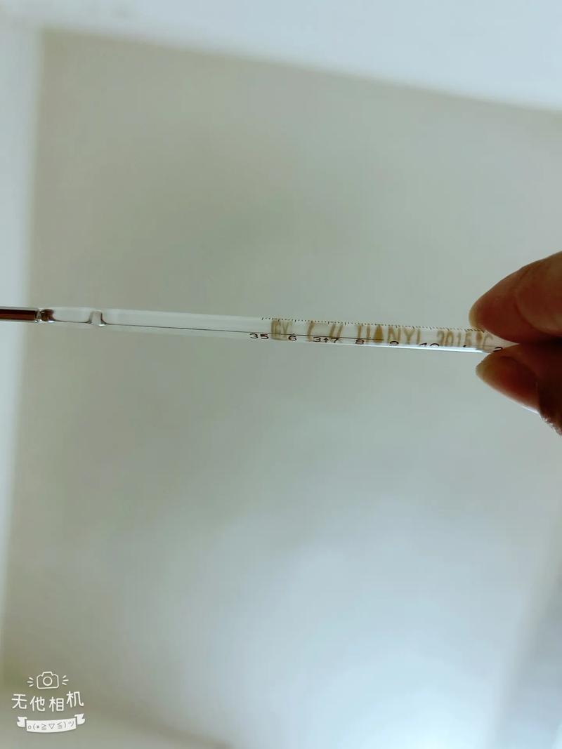 狗狗发烧的体温是多少