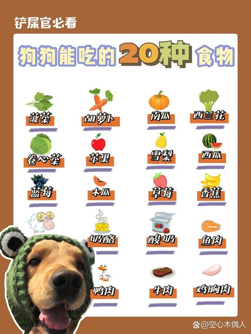 养宠小知识:狗狗补充微量元素,吃什么比较好?