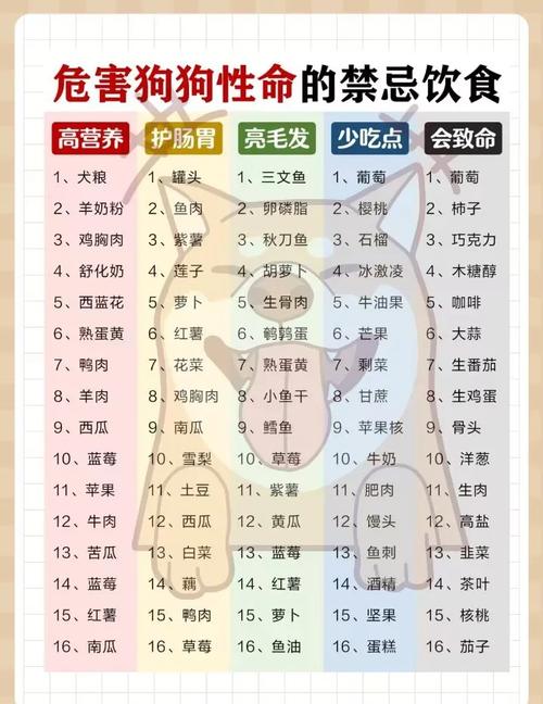 狗狗补充营养吃什么