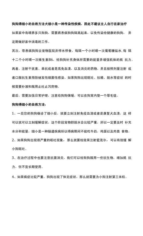 狗狗细小初期怎么自救比较好