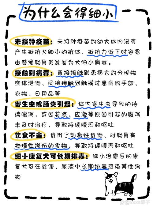 小狗得细小在家自救的方法