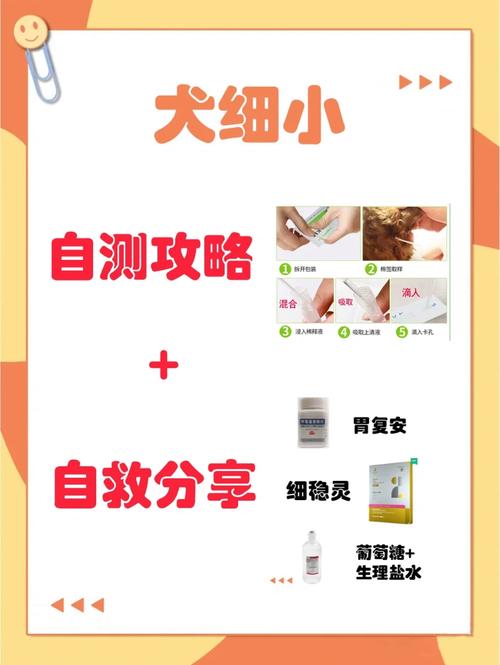 狗狗得了细小怎么自救呢