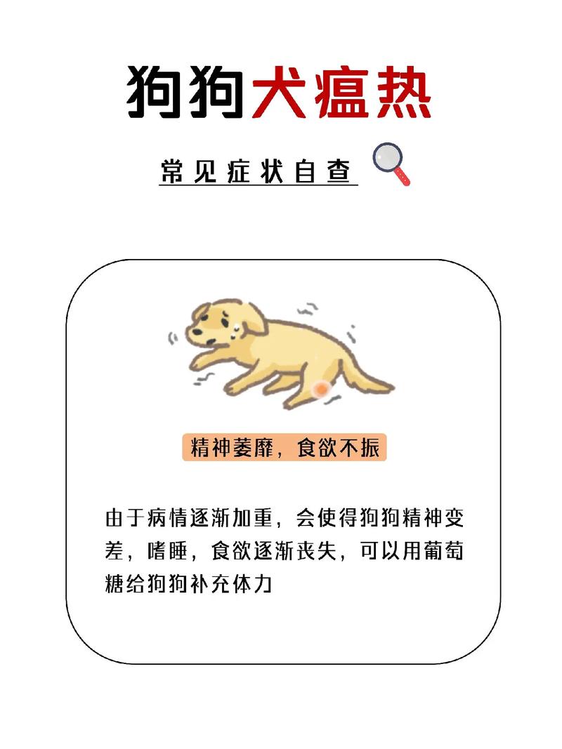 狗狗发烧一直不退怎么办