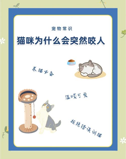 猫咪突然咬人是怎么回事