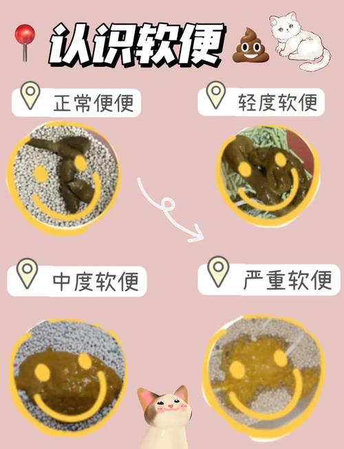 猫咪突然软便的原因及处理方法