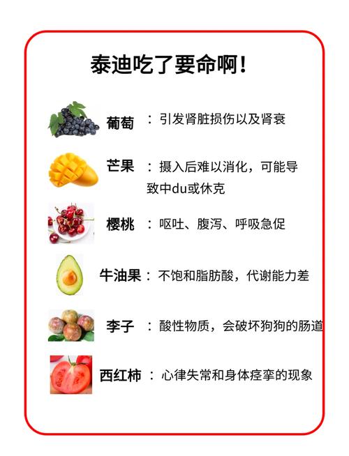 狗狗能不能吃油