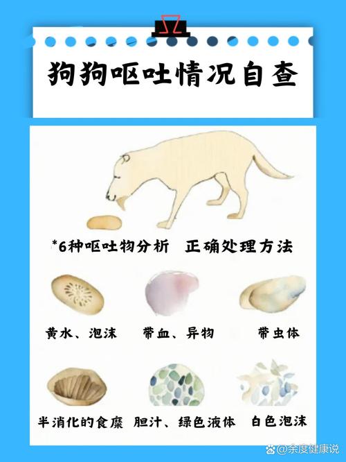 狗狗呕吐不吃饭没精神怎么办