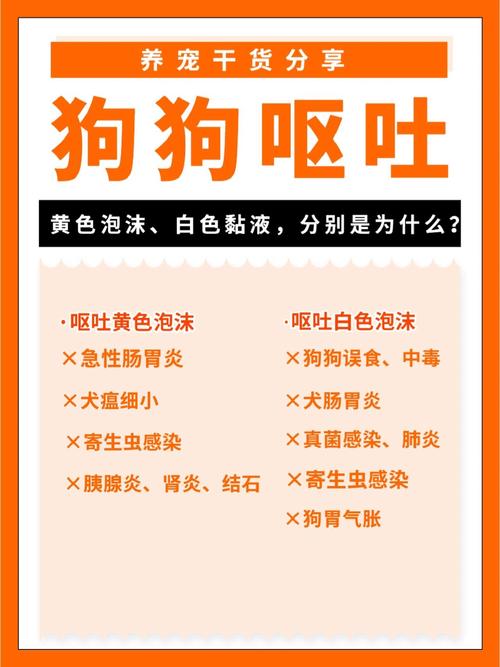 狗狗不想吃饭还吐为什么