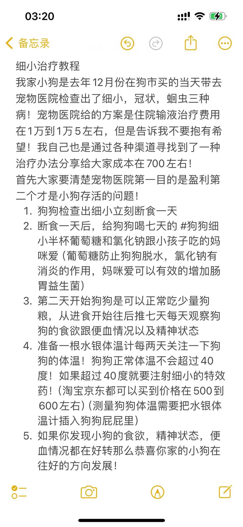狗狗得了细小应该怎么治疗好呢?