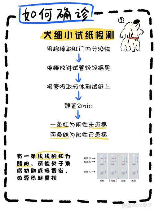 狗狗得了细小怎么治疗方法