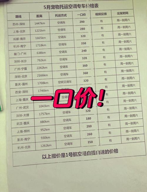 托运猫猫大概要多少钱
