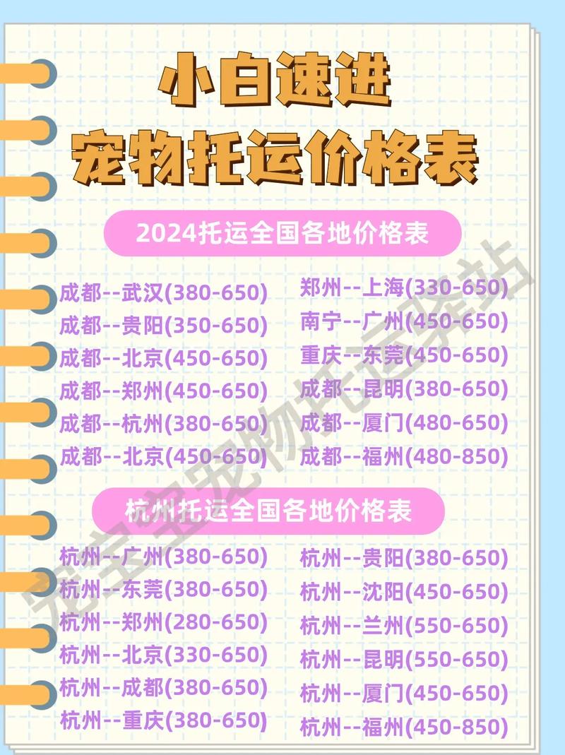 猫猫坐飞机要多少钱啊?