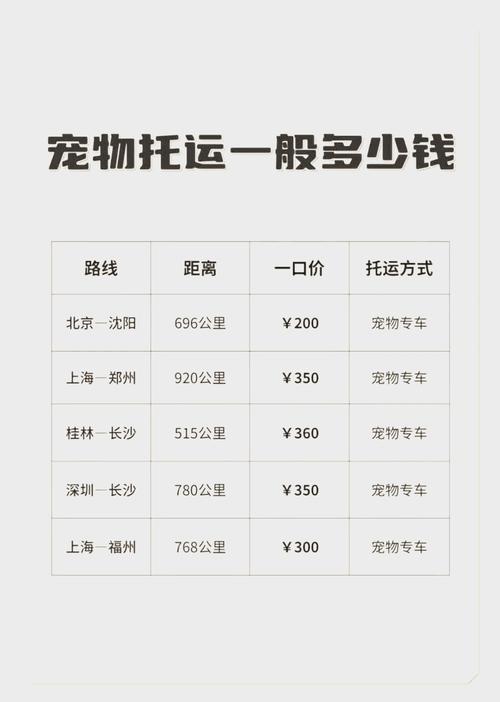 猫猫怎么托运?费用是多少钱?