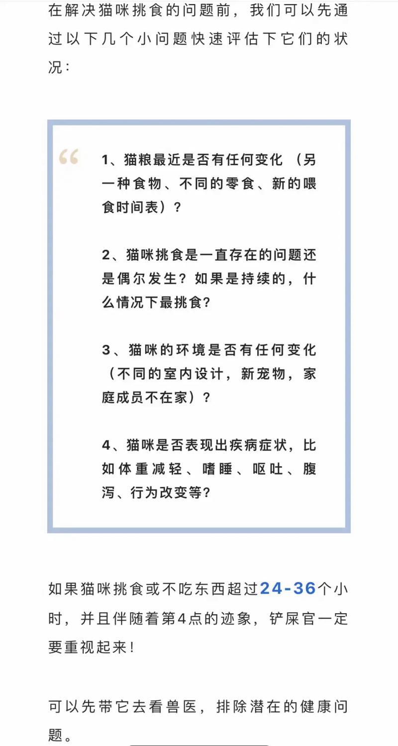 如果猫咪不吃饭可以饿几天吗?