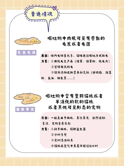 猫咪呕吐了怎么办