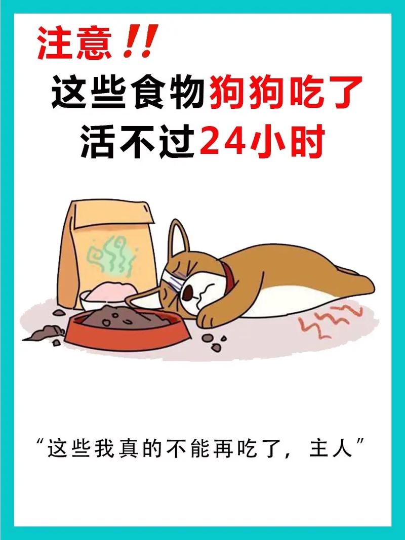 狗流鼻涕感冒不想吃东西怎么办