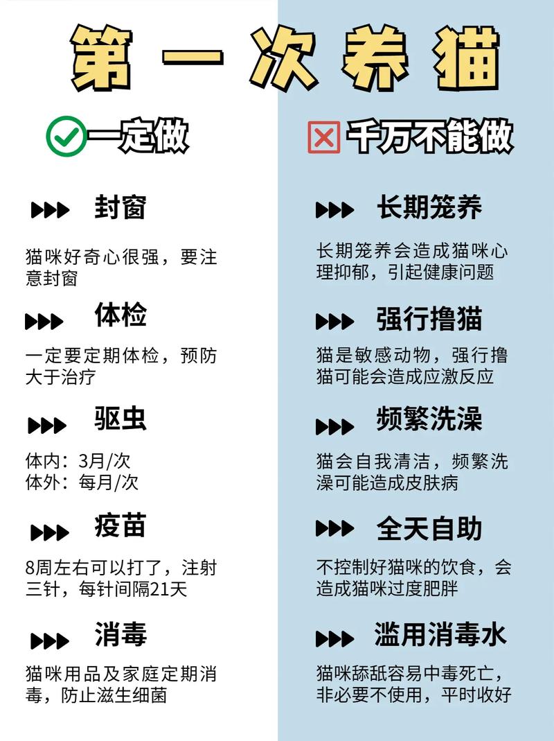 家有孕妇养猫注意事项