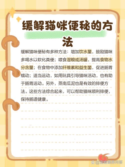 小猫突然三天没大便,猫咪3天没有拉屎排便怎么办