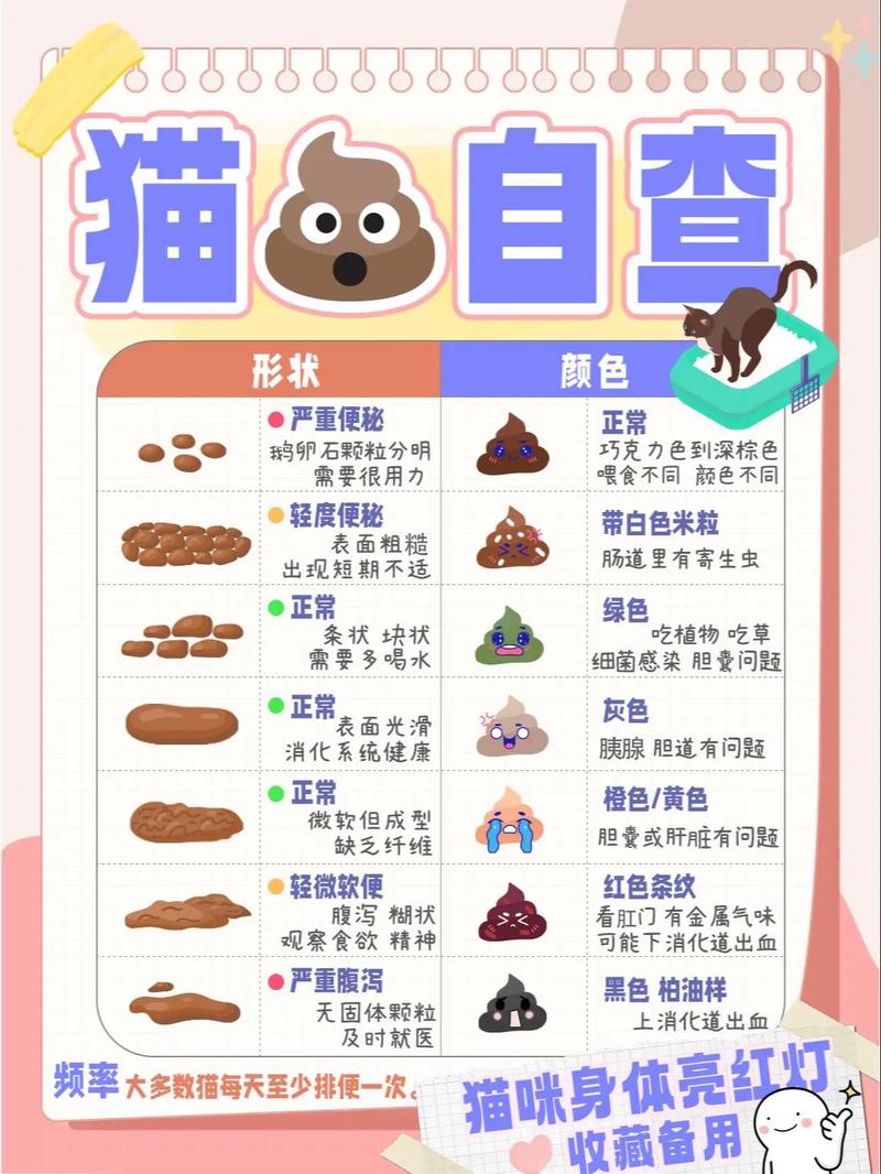 猫咪吃喝正常但是不拉粑粑
