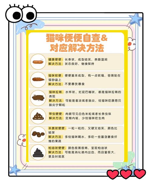 猫咪好几天不拉屎了怎么办