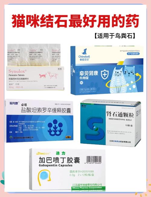 猫咪患上尿结石疾病怎么办?