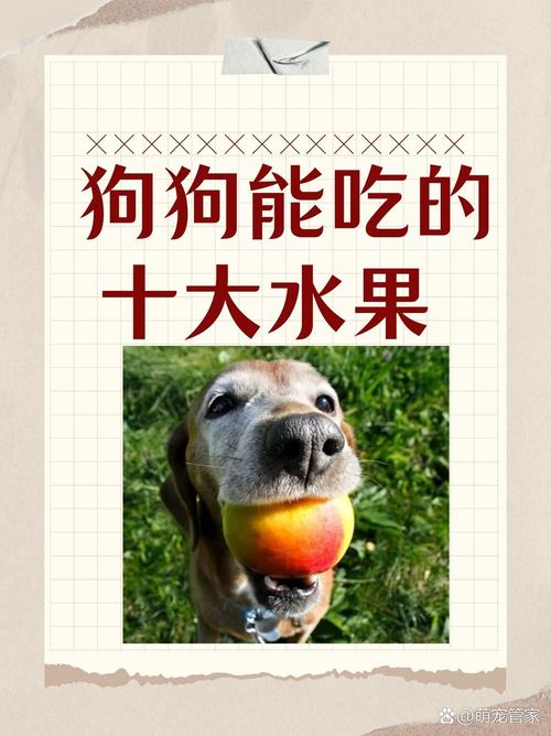 狗狗能吃荸荠么