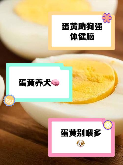 狗狗吃蛋黄有什么好处