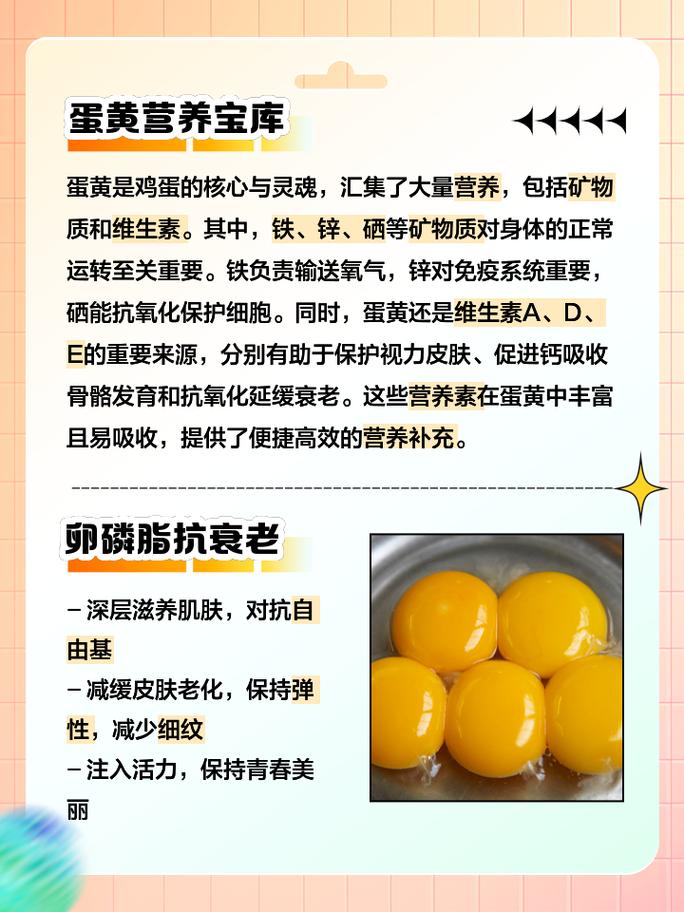 狗吃蛋黄有什么好处和坏处