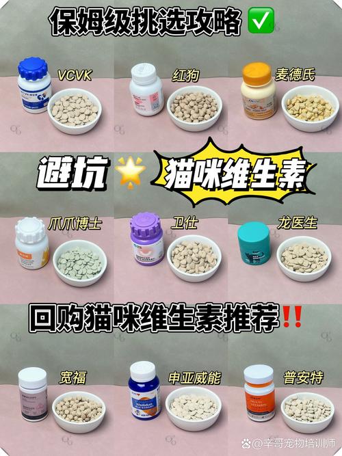 猫咪能吃人吃的维生素b