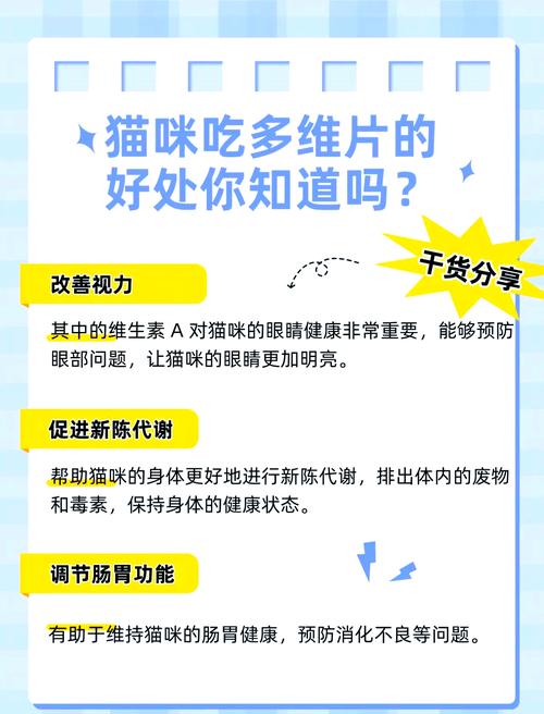 猫可以吃B族么?