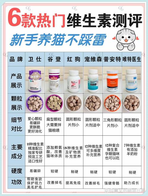 不建议猫吃复合维生素的原因