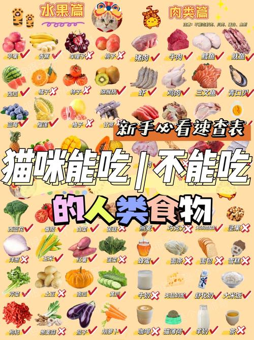 猫咪可以吃人吃的维生素b吗