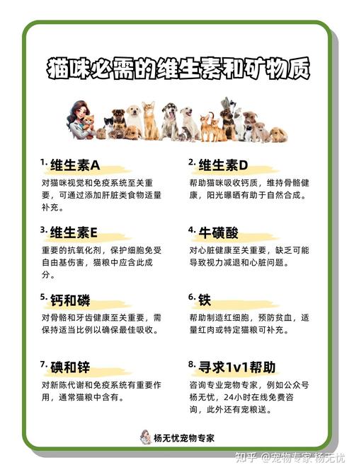 人吃的维生素b猫能吃吗?