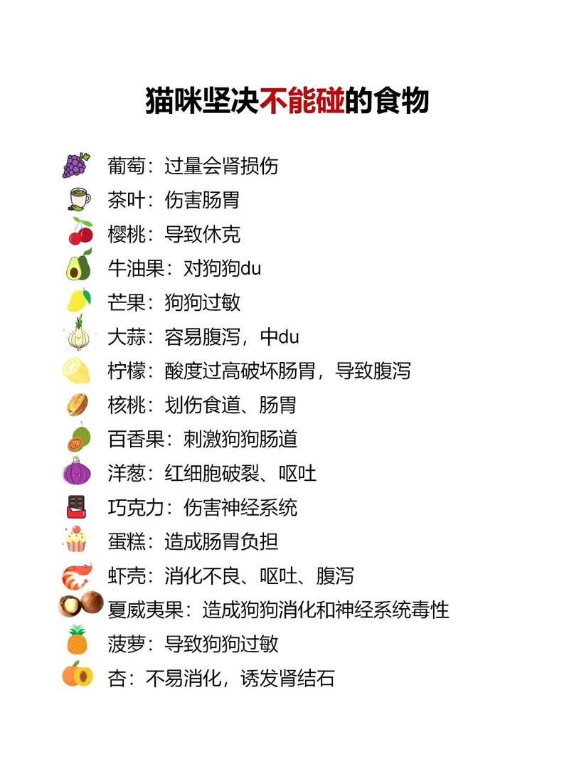 猫吃橘子会怎样?