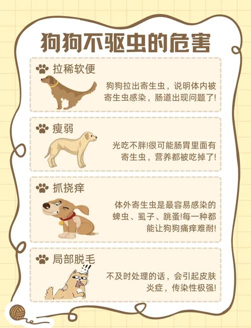 小狗驱虫药怎么吃?