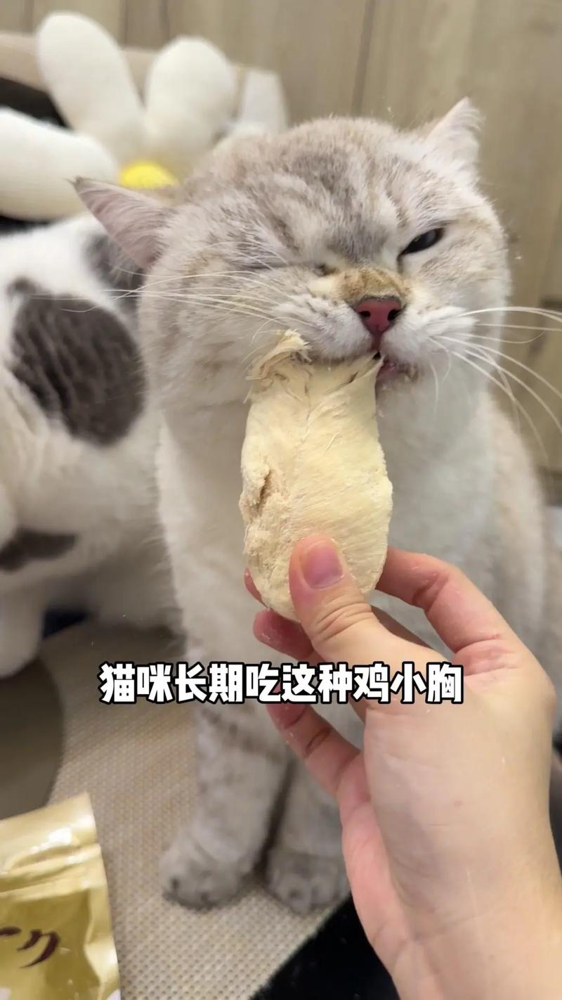 猫咪吃鸡肉好不好