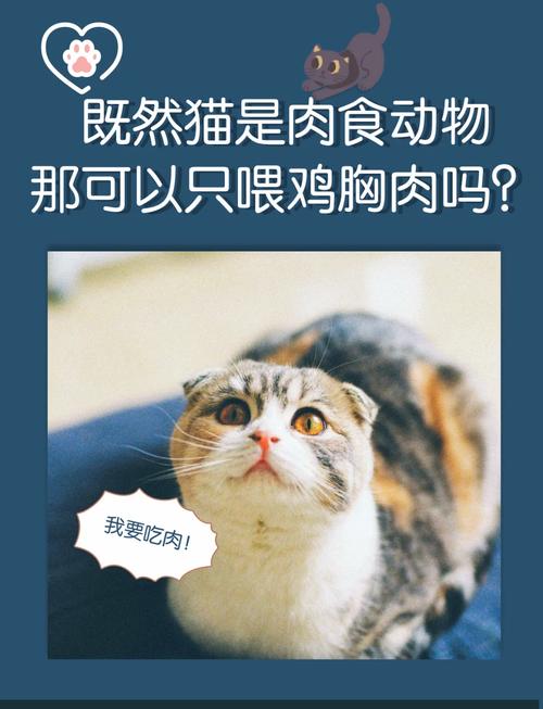 猫咪可以天天吃鸡胸肉吗